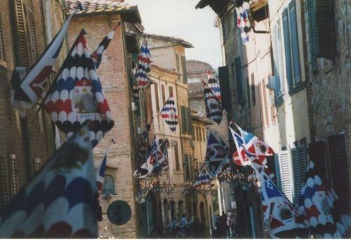 Apartamento La Casa In Camollia