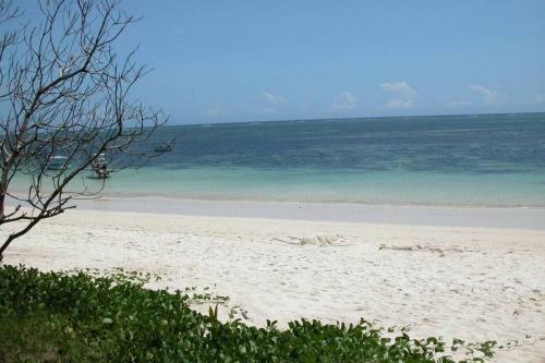 Apartamento Cowrie Beach Haven Studio