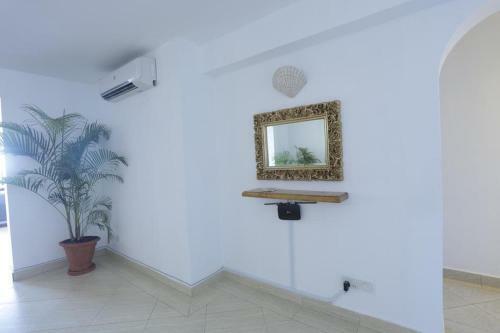 Ocean Front Apartments At La Mera