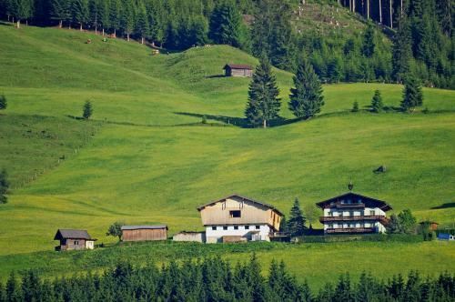 Apartamento Ferienhaus Hochwimmer