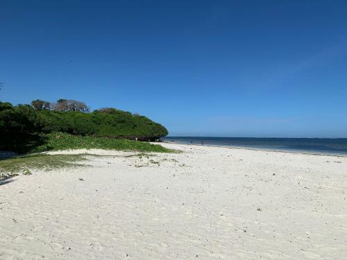 Stylish Beachfront Apartment Mombasa King Sized Bed