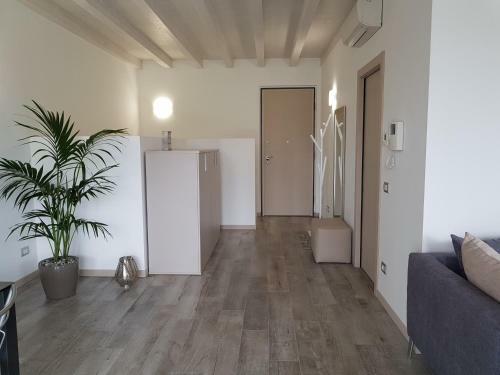 Luxury Apartments Beauty Gardens