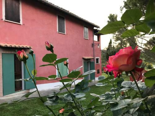 Agroturismo Colle Cornetto