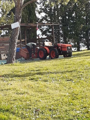 Agroturismo Colle Cornetto