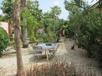 Bed & Breakfast Guesthouse Littledavid