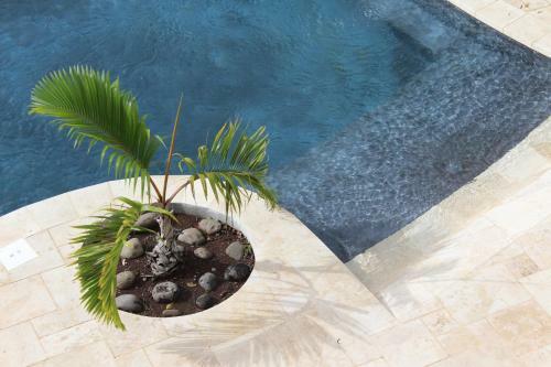 Hostal Escapade Bellepierre (l')