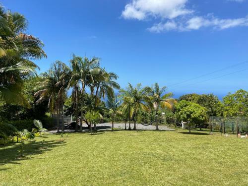 Apartamento L'escapade Cr�ole Appartement Letchi