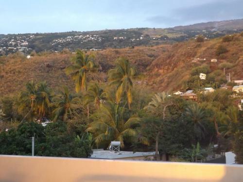 Apartamento Maracuja