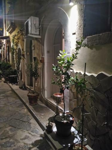 Bed & Breakfast Diocle Room
