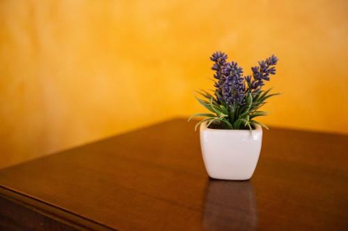 Apartamento Casa Di Era