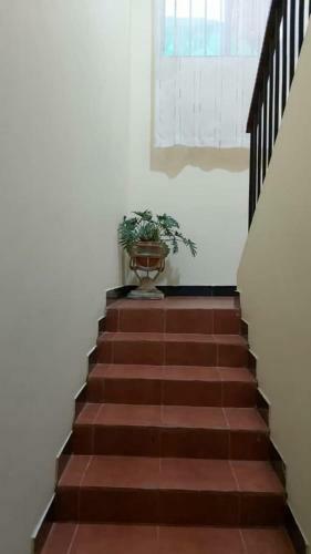 Molo Meru Home