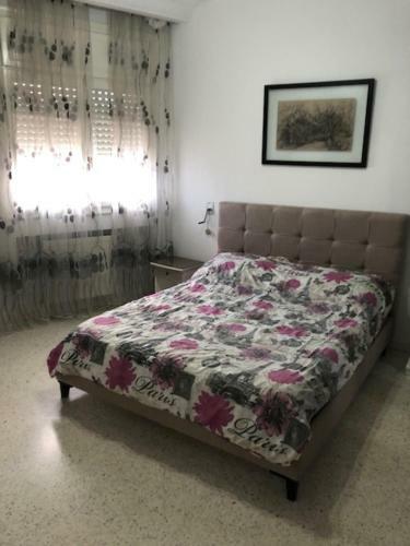 Apartamento Appartement Palmerais