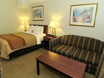 Hotel Comfort Inn & Suites Medicine Hat