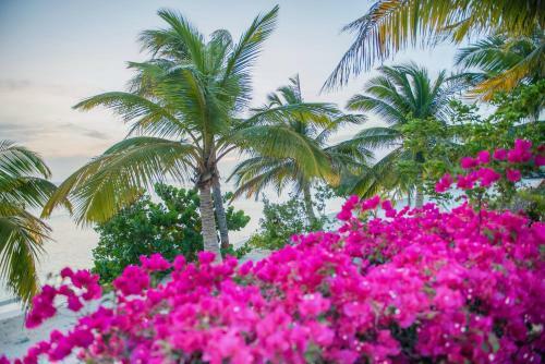 Hotel Aruba Surfside Marina