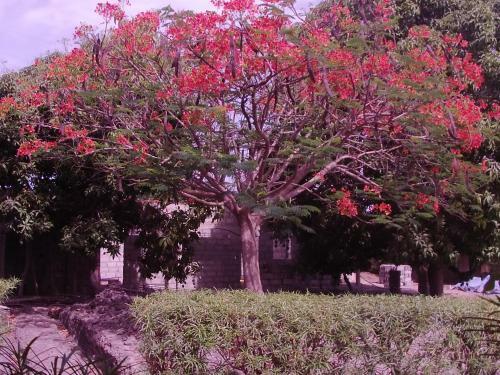 Bed & Breakfast B & B Mariamacounda