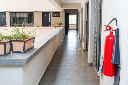 Apartamento Tsavo Studio