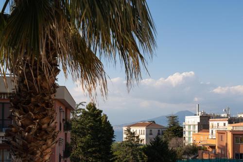 Viva Apartment Sorrento