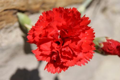 Agroturismo Casa Al Moro B&B
