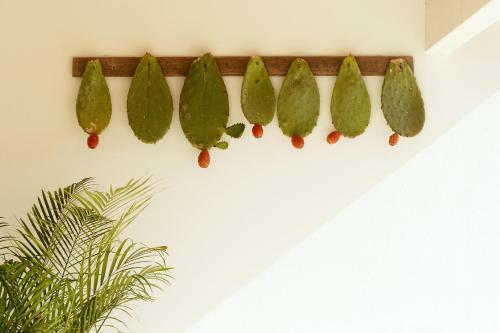 Apartamento Relais L'oliveto