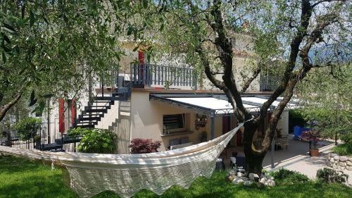 B&B Forsesiforseno