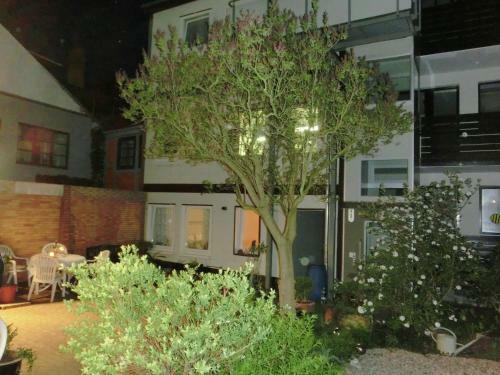 Beautiful Apartment In Hamelin With Garden