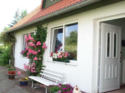 Apartamento Vermietung Wenzel