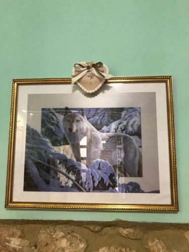 Bed & Breakfast B & B Lo Gnomo