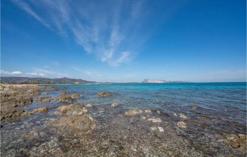 Awesome Home In Tanaunella With Wifi And 2 Bedrooms