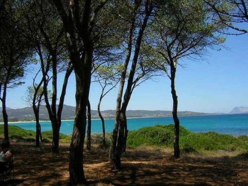 Villa Indipendente Al Mare Budoni