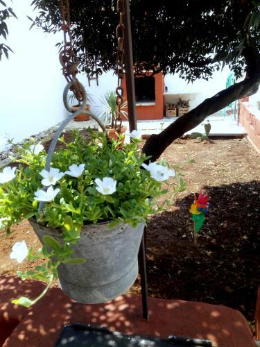 Casa Vacanze Le Contadine