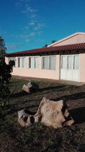 Agroturismo Agriturismo Monte Pino