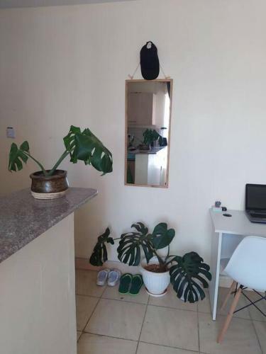 Apartamento Nene's Little Haven