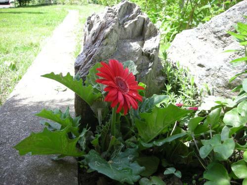 Bed & Breakfast Il Crocevia