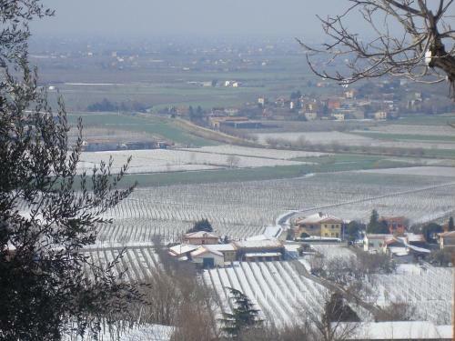 Agroturismo Il Castagneto