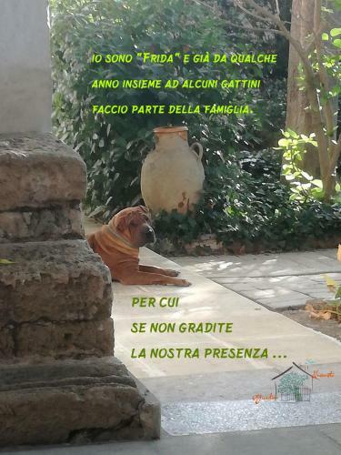 Bed & Breakfast Giardino Nascosto