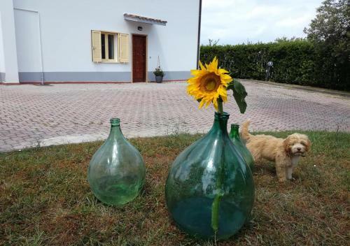 Casa Amrita, Yoga B&B