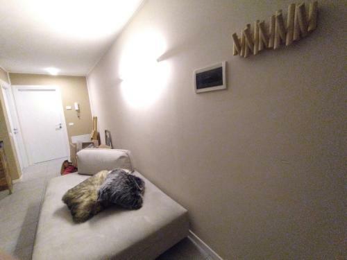 Adamello Peak Vacation Apartments