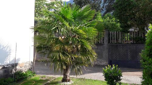 Apartamento Georg Barbieri