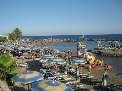 Sapore Di Mare E Di Liguria