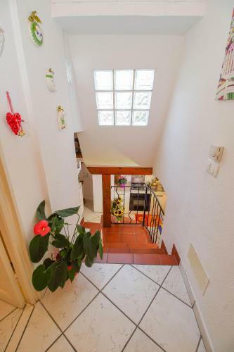 Apartamento Casa Bellavista