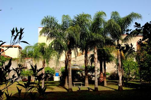 Giardino Del Vesuvio