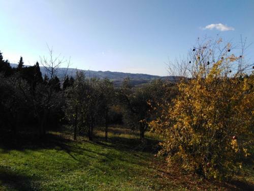 Apartamento Pietramilia