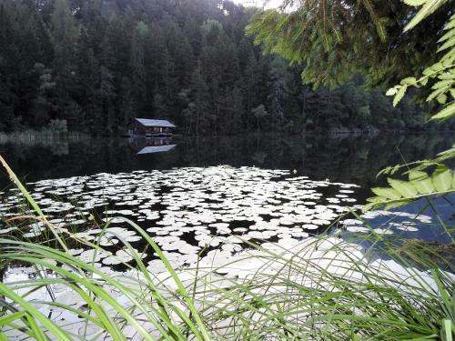 Hostal Gasthof Piburger See