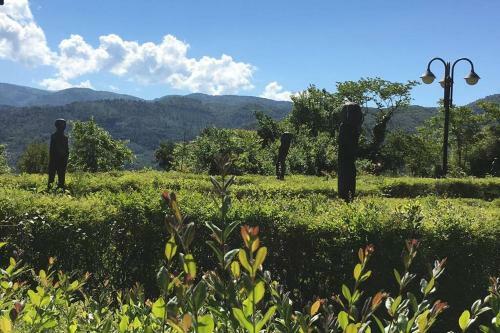 Authentic Villa Surrounded By Nature