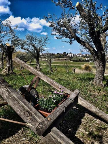 Panoramic Country House Near Vinci-tuscany