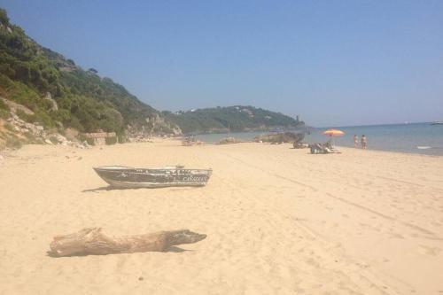 Apartamento Appartamento A 500 Mt. Dal Mare