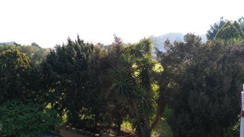 Hostal Mscamere