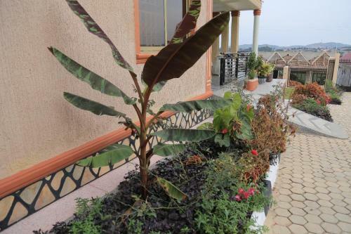 Agroturismo Comfort Luxury Villa Mbarara