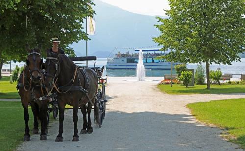 Agroturismo Gesundheitshof Lohninger