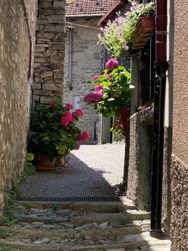 Apartamento A Due Passi Dal Lago